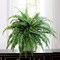 Premium Morgan's Boston Fern Set: 4 Lush 48-inch & 2 Elegant 34-inch Front Door Plants One Set - Perfect Home Decor Accent, Floral Home by Artificial Flowers